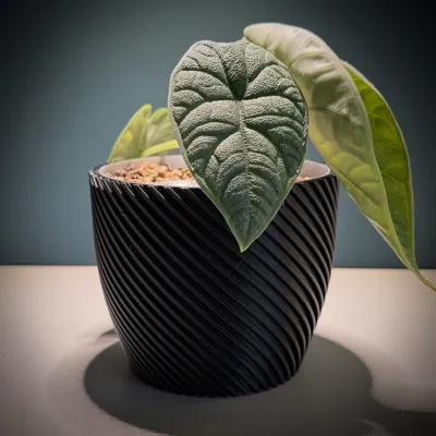 https://makerworld.bblmw.com/makerworld/model/163439/710662/ratings/e687d750-bf26-11f0-98df-c799f6244f7f.jpg