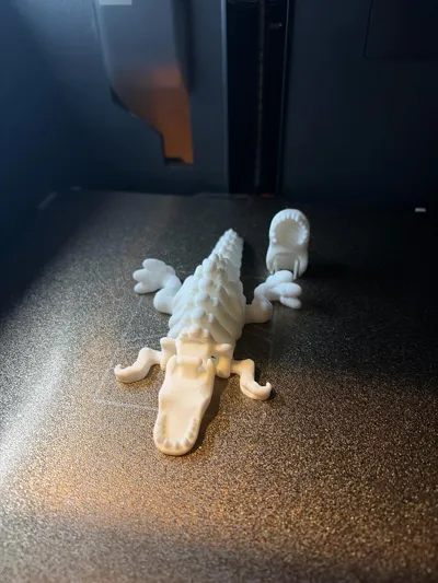 https://makerworld.bblmw.com/makerworld/model/1634871/1727020/ratings/54e5d770-cbba-11f0-99b5-d9e032241396.jpg