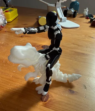 https://makerworld.bblmw.com/makerworld/model/1634871/1727020/ratings/794fb1f0-d7d4-11f0-be29-9f175bfaec69.jpg