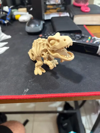 https://makerworld.bblmw.com/makerworld/model/1634871/1727020/ratings/9596fac0-72cc-11f0-9de9-df61f302a43e.jpg