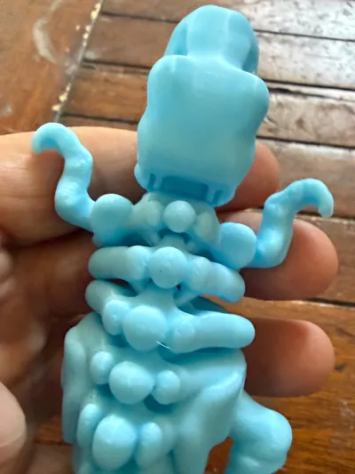 https://makerworld.bblmw.com/makerworld/model/1634871/1727020/ratings/a8825821-d1ac-11f0-8866-33280c9f2ee2.jpg