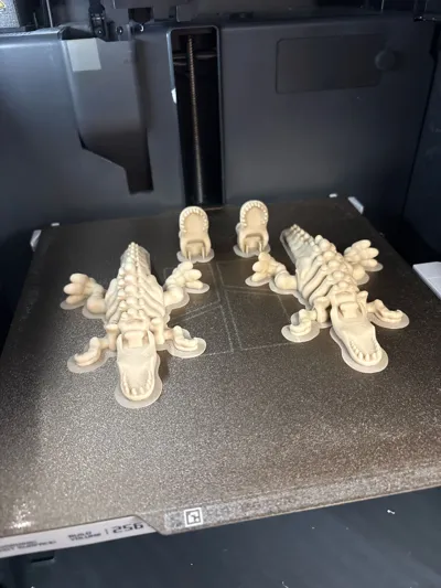 https://makerworld.bblmw.com/makerworld/model/1634871/1727020/ratings/be38af20-6e6a-11f0-aadf-5da06baf816a.jpg