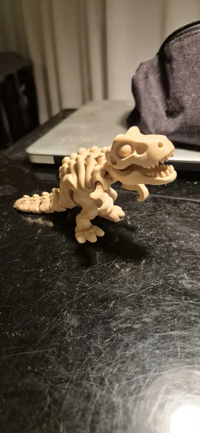 https://makerworld.bblmw.com/makerworld/model/1634871/1727020/ratings/f88d7800-dfde-11f0-9254-f5b1ddb0ced2.jpg
