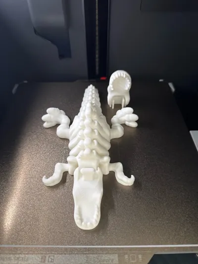 https://makerworld.bblmw.com/makerworld/model/1634871/1852243/ratings/efa78a60-ed70-11f0-aa21-27e4d7a34ad2.jpg