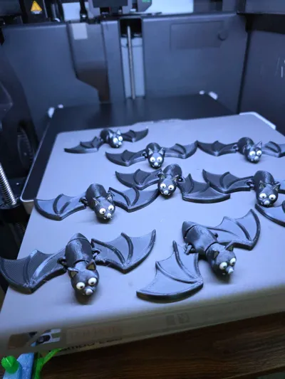 https://makerworld.bblmw.com/makerworld/model/1635282/1727484/ratings/7d7f3ff0-95eb-11f0-88e8-c9cc73390b2d.jpg