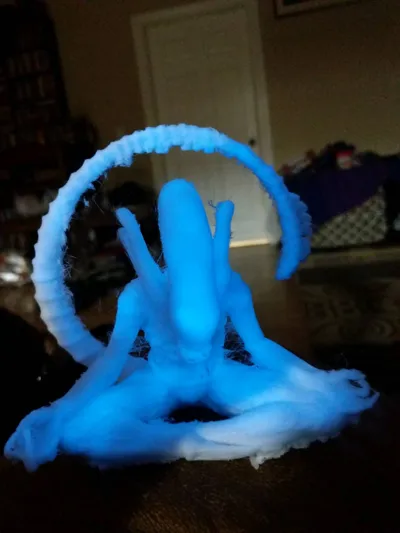 https://makerworld.bblmw.com/makerworld/model/1635344/1727545/ratings/574eaf60-73fd-11f0-91b5-81fee57009d9.jpg