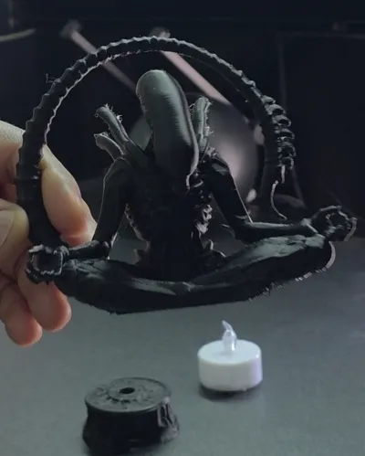 https://makerworld.bblmw.com/makerworld/model/1635344/1727545/ratings/76df8020-af62-11f0-a1da-1b35e7efd92a.jpg
