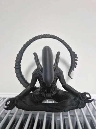 https://makerworld.bblmw.com/makerworld/model/1635344/1727545/ratings/ffbf8cf0-c8fd-11f0-8214-5fb6a0f697f4.jpg