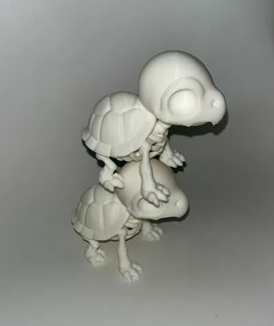 https://makerworld.bblmw.com/makerworld/model/1635500/1727741/ratings/9ed3a530-7433-11f0-85f7-1767bf5febb1.jpg