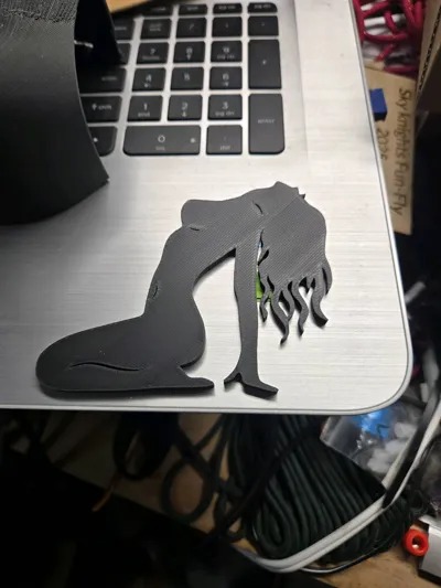 https://makerworld.bblmw.com/makerworld/model/1636127/2170453/ratings/4014e110-eb95-11f0-9447-6502c60b655e.jpg