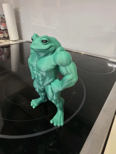 https://makerworld.bblmw.com/makerworld/model/1636252/1728607/ratings/29699800-ed09-11f0-9f23-4d8dce747e45.jpg