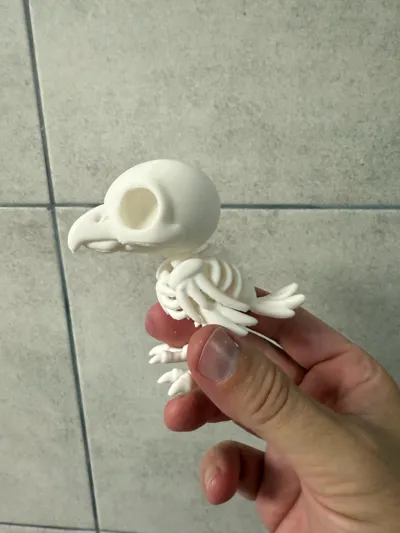 https://makerworld.bblmw.com/makerworld/model/1636355/1728709/ratings/253797d0-8db6-11f0-b1ab-5df945187f30.jpg