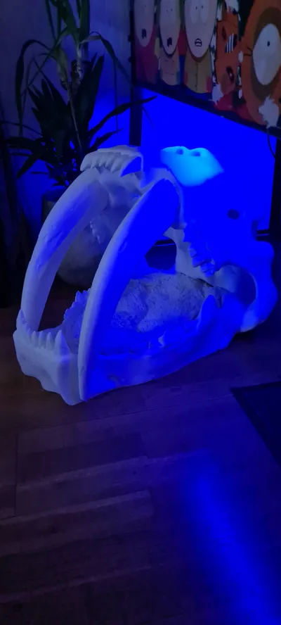 https://makerworld.bblmw.com/makerworld/model/1637321/1741381/ratings/1a3940c0-ee66-11f0-83f3-2de80a6b5633.jpg