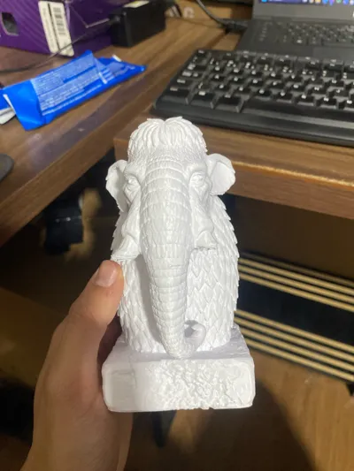 https://makerworld.bblmw.com/makerworld/model/1637495/1729935/ratings/69d0c150-8ffa-11f0-8033-9d7bc10142fb.jpg