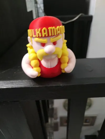 https://makerworld.bblmw.com/makerworld/model/1637568/1730021/ratings/7eca02f0-6e2c-11f0-ac23-a7375ea64a24.jpg