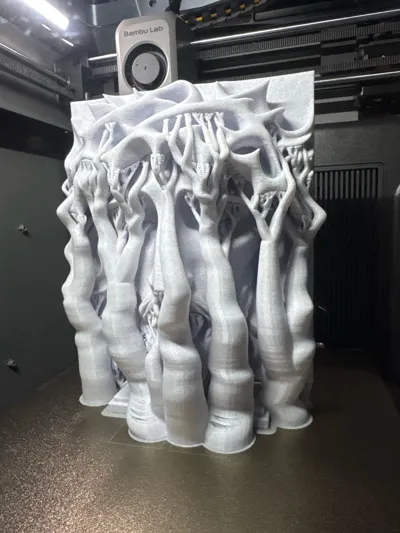 https://makerworld.bblmw.com/makerworld/model/1637849/1730353/ratings/30b815f0-fac4-11f0-81fe-b366d0b6a755.jpg