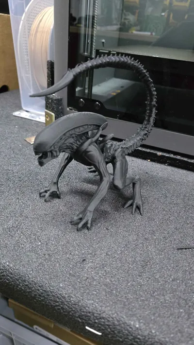 https://makerworld.bblmw.com/makerworld/model/1638803/1731422/ratings/1b8a0480-f589-11f0-993f-7f1d5c135f7c.jpg