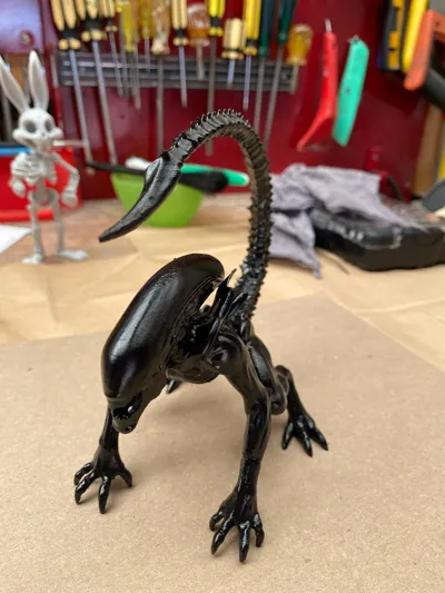 https://makerworld.bblmw.com/makerworld/model/1638803/1731422/ratings/210a2a10-8bae-11f0-880a-456ad986884e.jpg