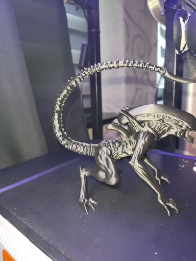https://makerworld.bblmw.com/makerworld/model/1638803/1731422/ratings/3b3c2e80-73b5-11f0-bb4a-0307ba79549c.jpg