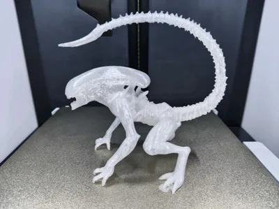 https://makerworld.bblmw.com/makerworld/model/1638803/1731422/ratings/582ab0c0-6ec9-11f0-94d8-a9defc945d66.jpg