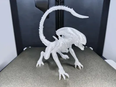 https://makerworld.bblmw.com/makerworld/model/1638803/1731422/ratings/58370cd0-6ec9-11f0-94d8-a9defc945d66.jpg