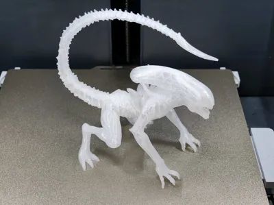 https://makerworld.bblmw.com/makerworld/model/1638803/1731422/ratings/58389370-6ec9-11f0-94d8-a9defc945d66.jpg
