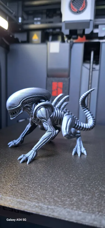 https://makerworld.bblmw.com/makerworld/model/1638803/1731422/ratings/69cd7030-b11b-11f0-a85b-b3a0dcec49ef.jpg