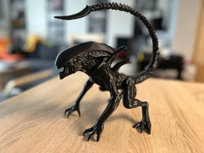 https://makerworld.bblmw.com/makerworld/model/1638803/1731422/ratings/ad0ea220-83fc-11f0-a932-67f24facf625.jpg