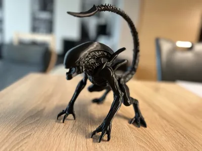 https://makerworld.bblmw.com/makerworld/model/1638803/1731422/ratings/ad0f8c80-83fc-11f0-a932-67f24facf625.jpg