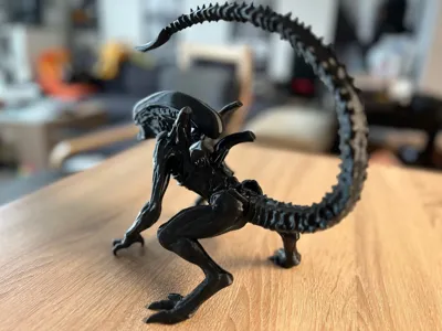 https://makerworld.bblmw.com/makerworld/model/1638803/1731422/ratings/ad104fd0-83fc-11f0-a932-67f24facf625.jpg