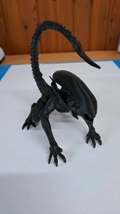 https://makerworld.bblmw.com/makerworld/model/1638803/1731422/ratings/b3aeef80-8e66-11f0-8dbe-459a3401d4dc.jpg