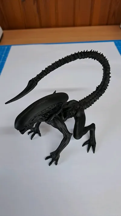 https://makerworld.bblmw.com/makerworld/model/1638803/1731422/ratings/b3c70b60-8e66-11f0-8dbe-459a3401d4dc.jpg