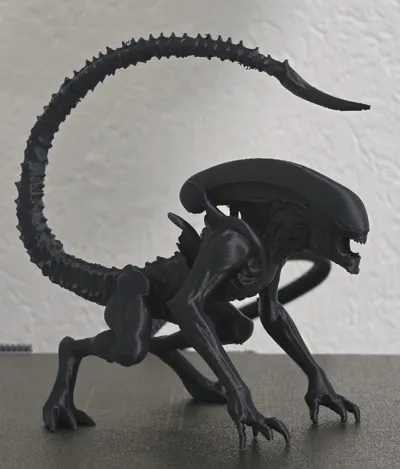 https://makerworld.bblmw.com/makerworld/model/1638803/1731422/ratings/c42942d0-8cd0-11f0-af11-cb220aa569b2.jpg