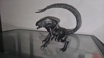 https://makerworld.bblmw.com/makerworld/model/1638803/1731422/ratings/c4555c20-fa0e-11f0-ab8f-bf4dfda0ea46.jpg