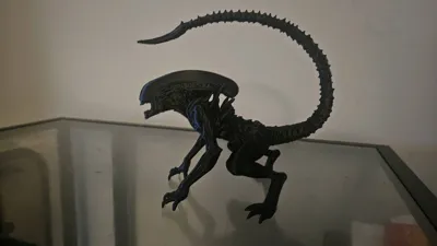 https://makerworld.bblmw.com/makerworld/model/1638803/1731422/ratings/c456bbb0-fa0e-11f0-ab8f-bf4dfda0ea46.jpg