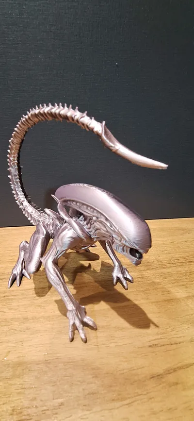 https://makerworld.bblmw.com/makerworld/model/1638803/1731422/ratings/f0ca6470-988a-11f0-978f-25c91d2a1354.jpg