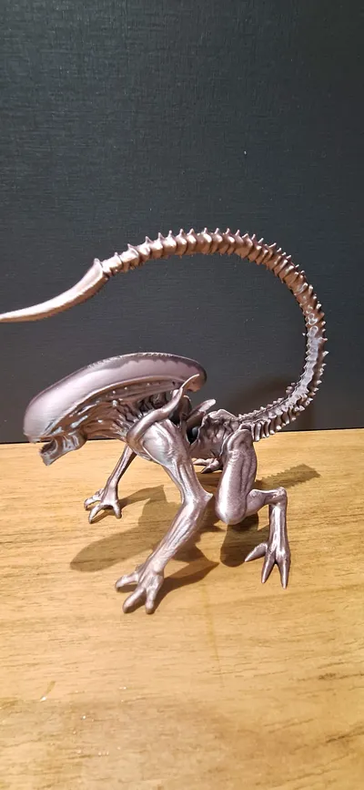 https://makerworld.bblmw.com/makerworld/model/1638803/1731422/ratings/f10c9d90-988a-11f0-978f-25c91d2a1354.jpg