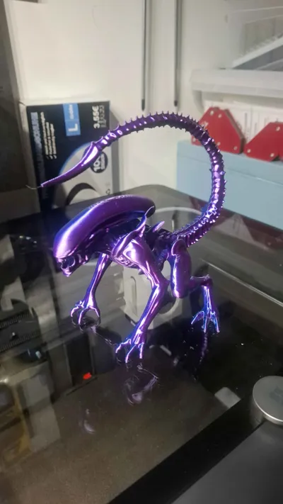https://makerworld.bblmw.com/makerworld/model/1638803/1731422/ratings/f7e1b7b0-72fe-11f0-bf82-97ac269fed5a.jpg