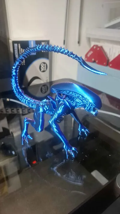 https://makerworld.bblmw.com/makerworld/model/1638803/1731422/ratings/f7e253f0-72fe-11f0-bf82-97ac269fed5a.jpg