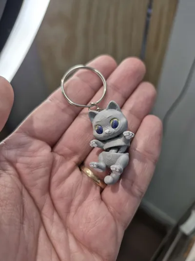 https://makerworld.bblmw.com/makerworld/model/1639118/1731784/ratings/e63ae920-6b0e-11f0-8ef9-3fdf85f5c2b5.jpg
