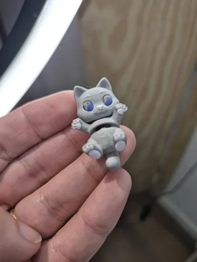 https://makerworld.bblmw.com/makerworld/model/1639118/1731784/ratings/e63d8130-6b0e-11f0-8ef9-3fdf85f5c2b5.jpg