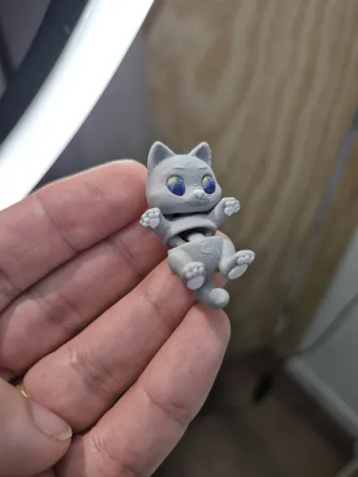 https://makerworld.bblmw.com/makerworld/model/1639118/1731784/ratings/e647e170-6b0e-11f0-8ef9-3fdf85f5c2b5.jpg