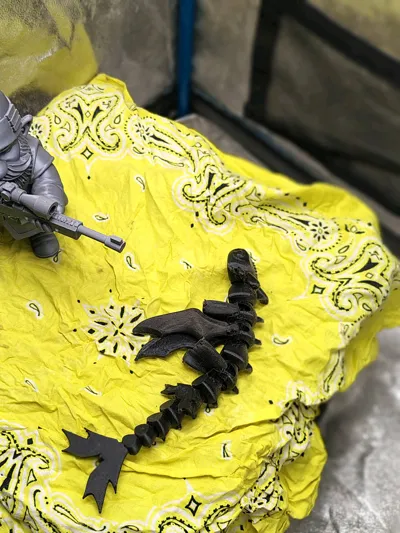 https://makerworld.bblmw.com/makerworld/model/1641998/1735091/ratings/1139e990-f2f6-11f0-a0d4-bbe4a83bbc30.jpg