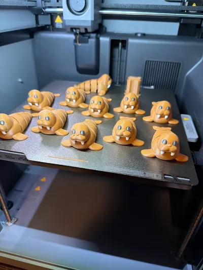 https://makerworld.bblmw.com/makerworld/model/1643379/1736692/ratings/fedda3d0-d3f2-11f0-83bb-19ae974c3e97.jpg