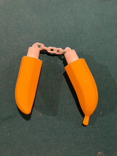 https://makerworld.bblmw.com/makerworld/model/1643768/1737126/ratings/03c39410-e02b-11f0-8f69-27739466d4e8.jpg