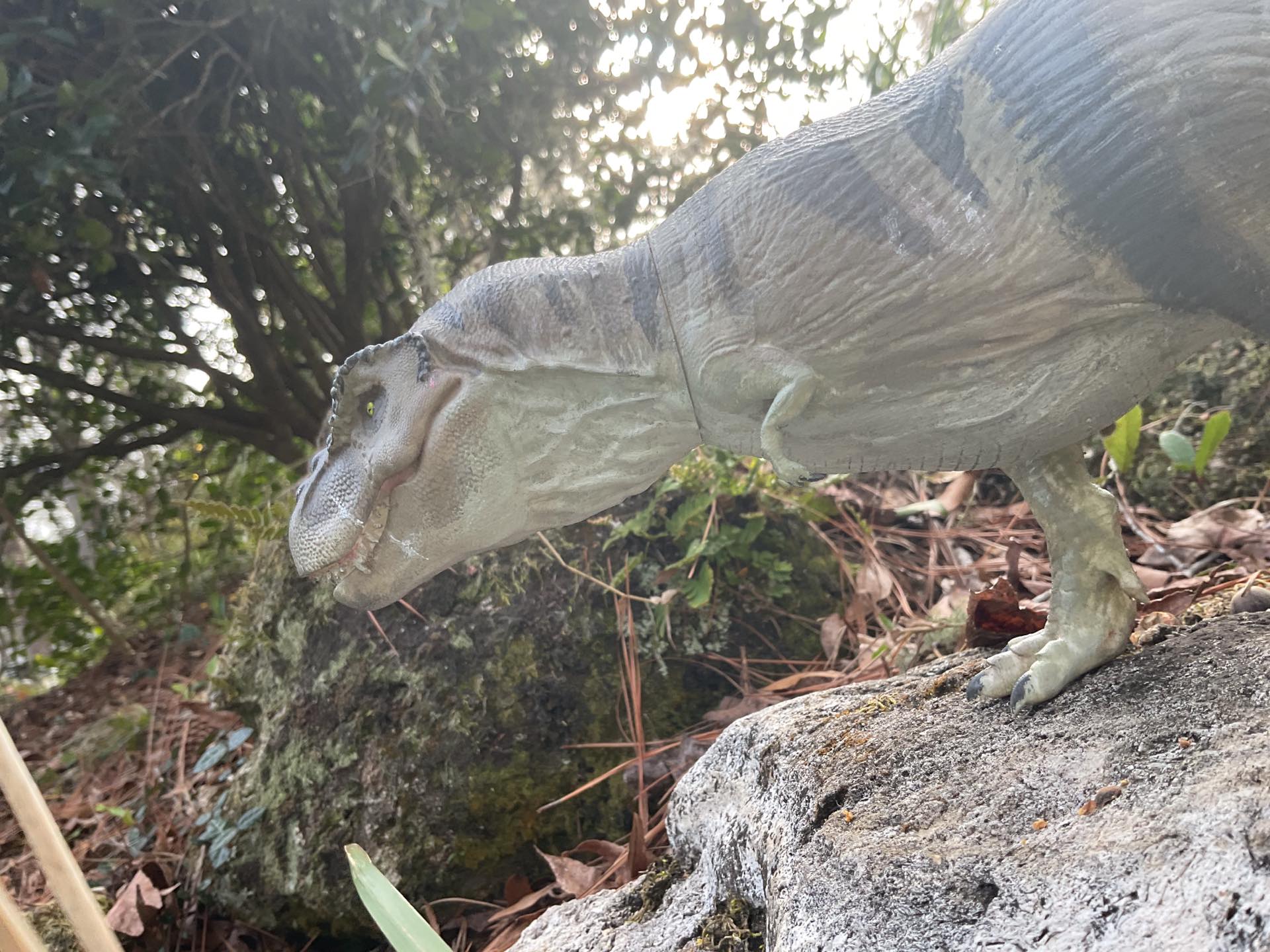 티라노사우루스 렉스 재탄생 - 무료 3D 프린트 모델 - MakerWorld, image size:1920x1440