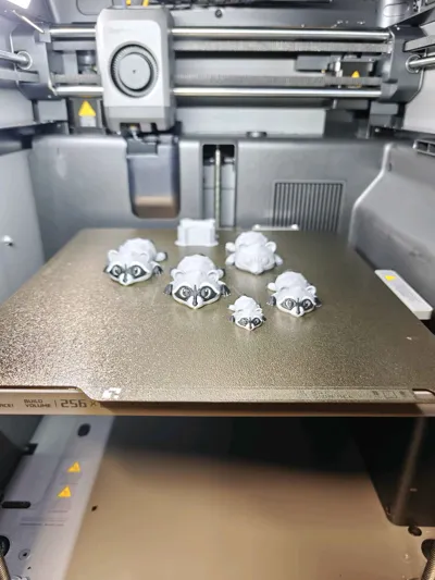 https://makerworld.bblmw.com/makerworld/model/1646129/1739840/ratings/1237a100-e380-11f0-8b31-ddbfa40d7614.jpg