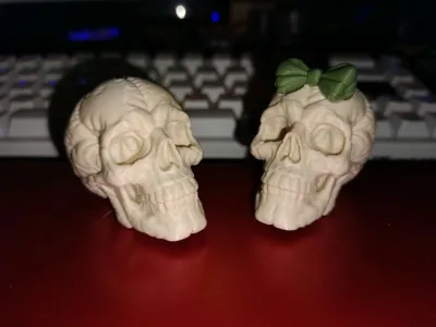 https://makerworld.bblmw.com/makerworld/model/1646221/1740006/ratings/00689730-7167-11f0-8dc8-b9c040747c2e.jpg