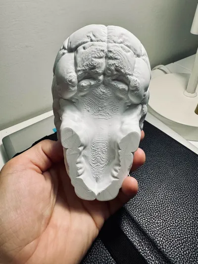 https://makerworld.bblmw.com/makerworld/model/1646241/1739999/ratings/4cf1ddf0-70e0-11f0-b08e-d3ebd25e2963.jpg