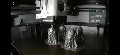 https://makerworld.bblmw.com/makerworld/model/1646242/1740000/ratings/36e65b50-7228-11f0-830c-5711f314487b.jpg